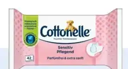 Rossmann Cottonelle Feuchtes Toilettenpapier Angebot
