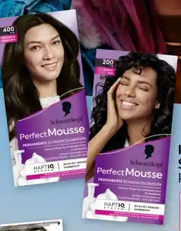 Rossmann Schwarzkopf Perfect Mousse Schaum Coloration Angebot