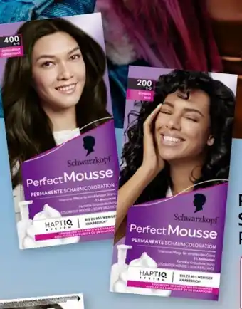 Rossmann Schwarzkopf Perfect Mousse Schaum Coloration Angebot