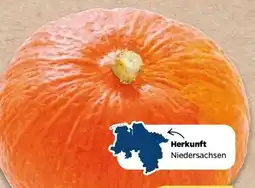 NETTO Speisekürbis Hokkaido Angebot