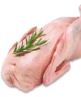 NETTO Junge Ente Angebot