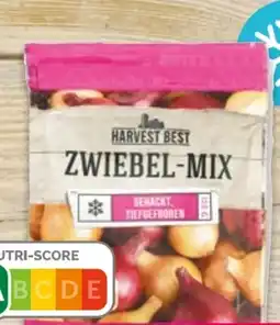 NETTO Harvest Best Zwiebel-Mix Angebot
