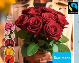 Aldi Süd Fairtrade-Rosen Angebot