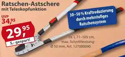 Sonderpreis Baumarkt Ratschen-Astschere mit Teleskopfunktion Angebot