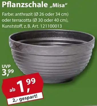 Sonderpreis Baumarkt Pflanzschale ,,Misa" Angebot