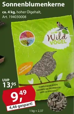 Sonderpreis Baumarkt Sonnenblumenkerne Angebot