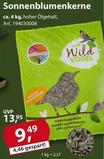 Sonderpreis Baumarkt Sonnenblumenkerne Angebot