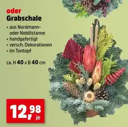 Thomas Philipps Grabschale aus nordmann- oder nobilistanne Angebot