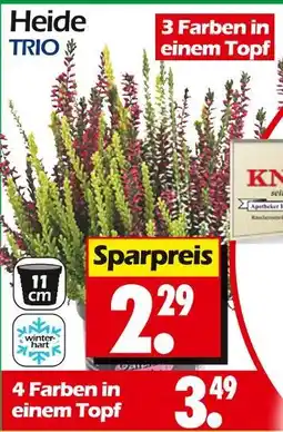 Wreesmann Heide trio 3 farben in einem topf Angebot