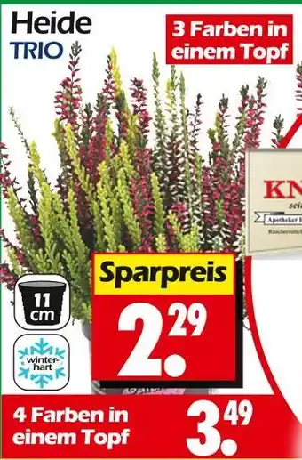 Wreesmann Heide trio 3 farben in einem topf Angebot