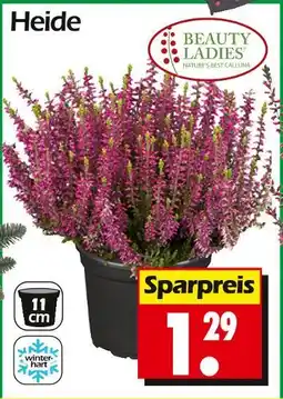 Wreesmann Beauty ladies heide Angebot