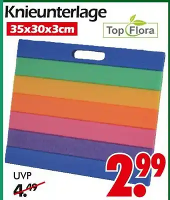 Wreesmann Top flora knieunterlage Angebot