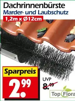 Wreesmann Top flora dachrinnenbürste Angebot