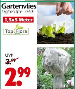 Wreesmann Top flora gartenvlies Angebot