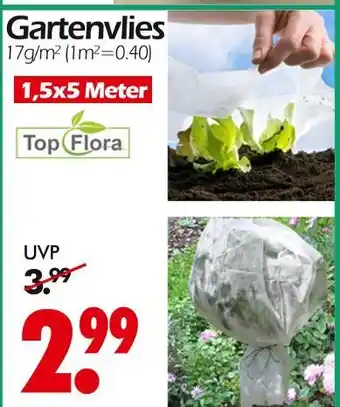 Wreesmann Top flora gartenvlies Angebot