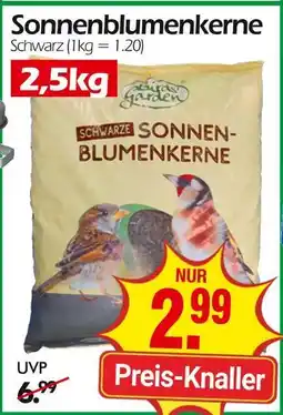 Wreesmann Sonnenblumenkerne Angebot
