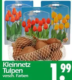 Wreesmann Kleinnetz tulpen Angebot