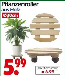 Wreesmann Pflanzenroller Angebot