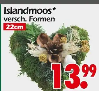 Wreesmann Islandmoos Angebot