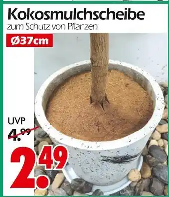 Wreesmann Kokosmulchscheibe Angebot