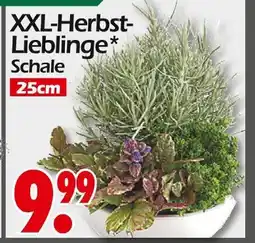 Wreesmann Xxl-herbst-lieblinge Angebot