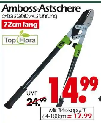 Wreesmann Top flora amboss-astschere Angebot