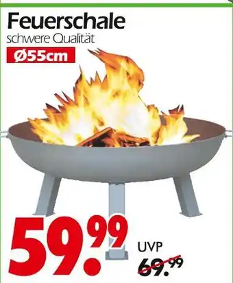 Wreesmann Feuerschale Angebot