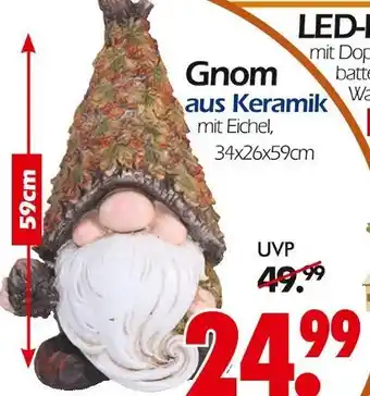 Wreesmann Gnom Angebot