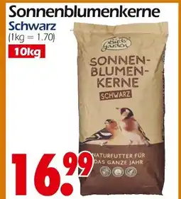 Wreesmann Sonnenblumenkerne Angebot
