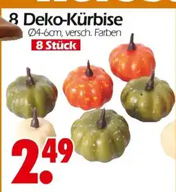 Wreesmann 8 deko-kürbise Angebot