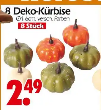 Wreesmann 8 deko-kürbise Angebot