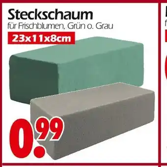 Wreesmann Steckschaum Angebot