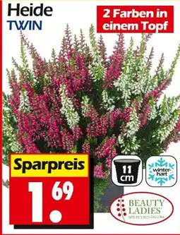 Wreesmann Beauty ladies heide twin Angebot