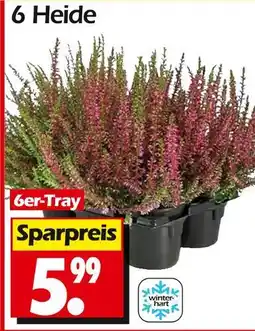 Wreesmann 6 heide Angebot
