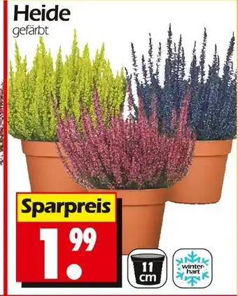 Wreesmann Heide Angebot