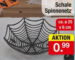Zimmermann Schale spinnennetz Angebot