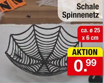 Zimmermann Schale spinnennetz Angebot