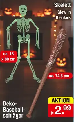 Zimmermann Skelett Angebot
