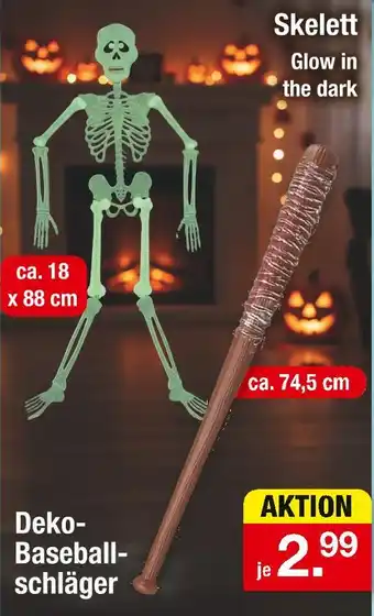 Zimmermann Skelett Angebot