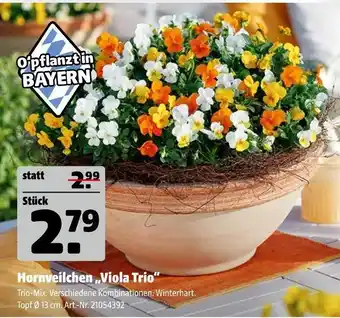 Hagebau Hornveilchen „viola trio“ Angebot