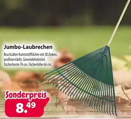 Kiebitzmarkt Jumbo-laubrechen Angebot
