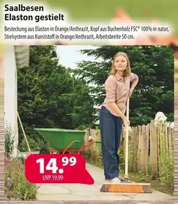 Kiebitzmarkt Saalbesen elaston gestielt Angebot