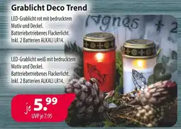 Kiebitzmarkt Grablicht deco trend Angebot