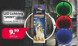 Kiebitzmarkt Nobby led lichtring shiny Angebot