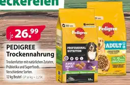Kiebitzmarkt Pedigree trockennahrung Angebot