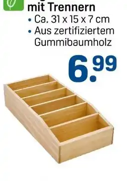 Rossmann Ideenwelt organizer mit trennern Angebot