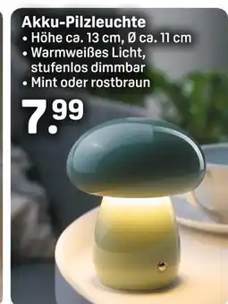 Rossmann Akku-pilzleuchte mint Angebot