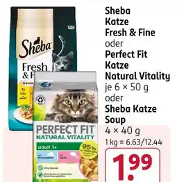 Rossmann Sheba katze fresh & fine Angebot