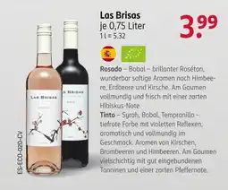 Rossmann Las brisas rosado Angebot