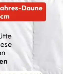 AWG Mode Bayern Daunendecke Angebot